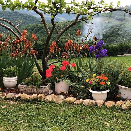 Bed and Breakfast Ai Sette Noci Alcenago Exterior foto