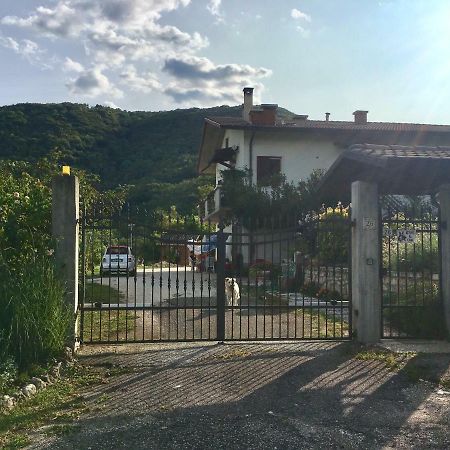 Bed and Breakfast Ai Sette Noci Alcenago Exterior foto