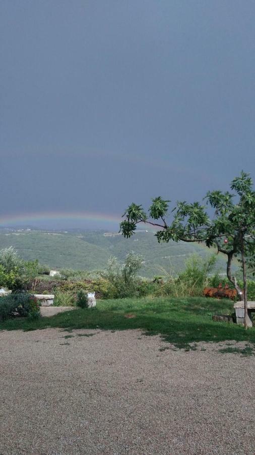 Bed and Breakfast Ai Sette Noci Alcenago Exterior foto
