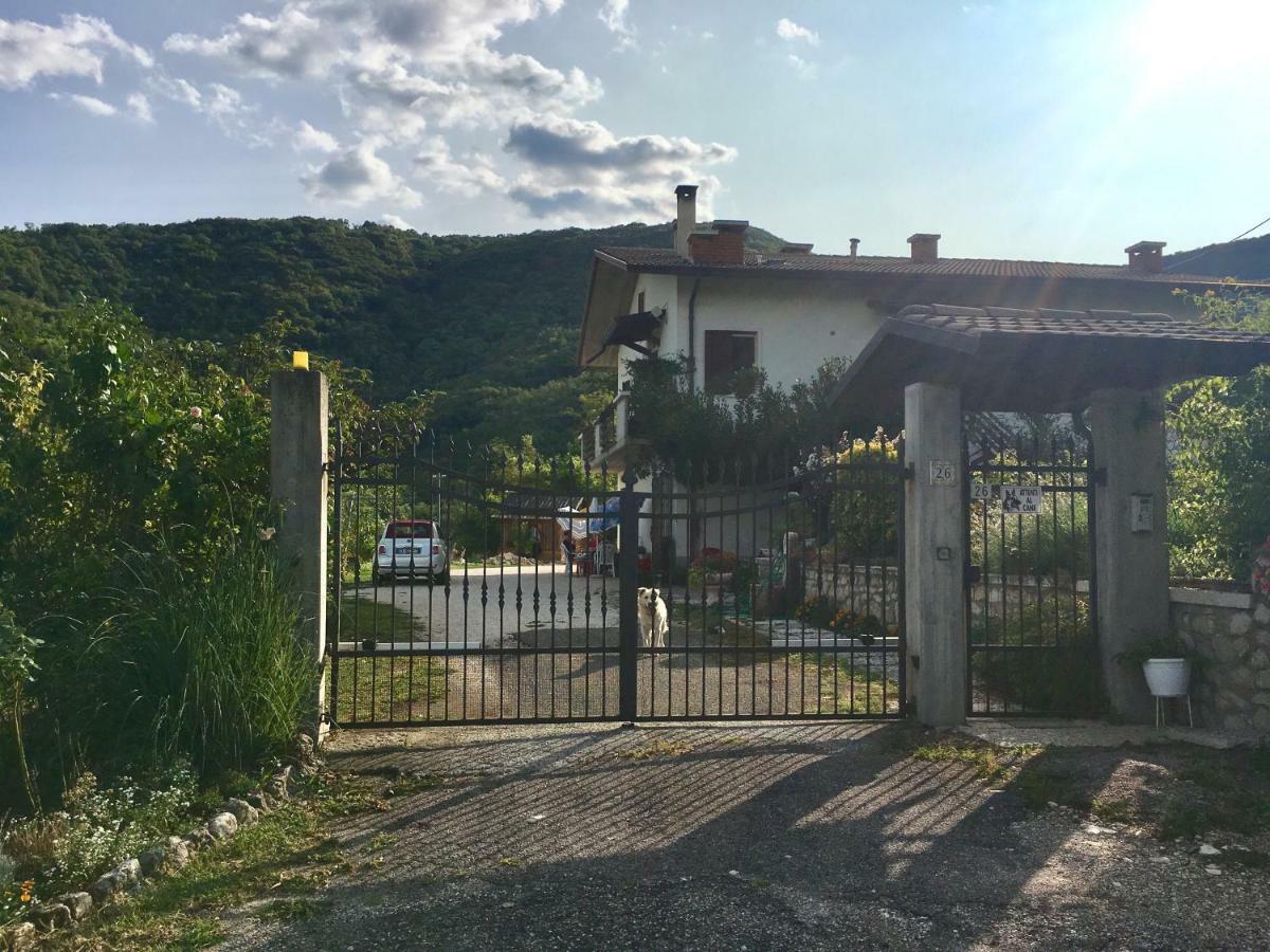 Bed and Breakfast Ai Sette Noci Alcenago Exterior foto