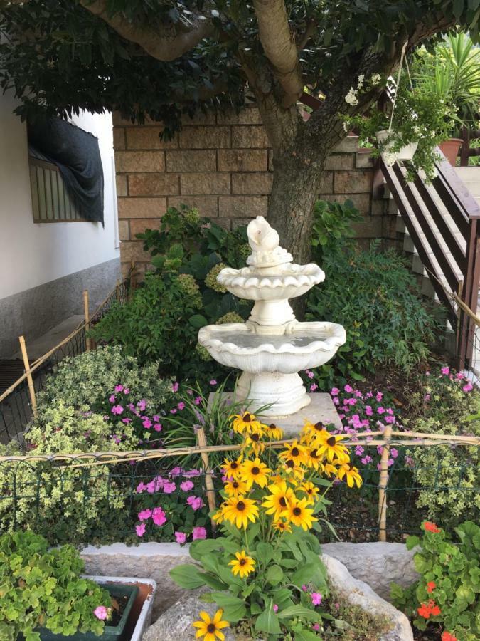 Bed and Breakfast Ai Sette Noci Alcenago Exterior foto
